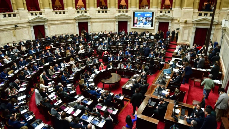 Diputados aprobó el rechazo al veto a la emergencia en Discapacidad y la oposición le dio un golpe al Gobierno